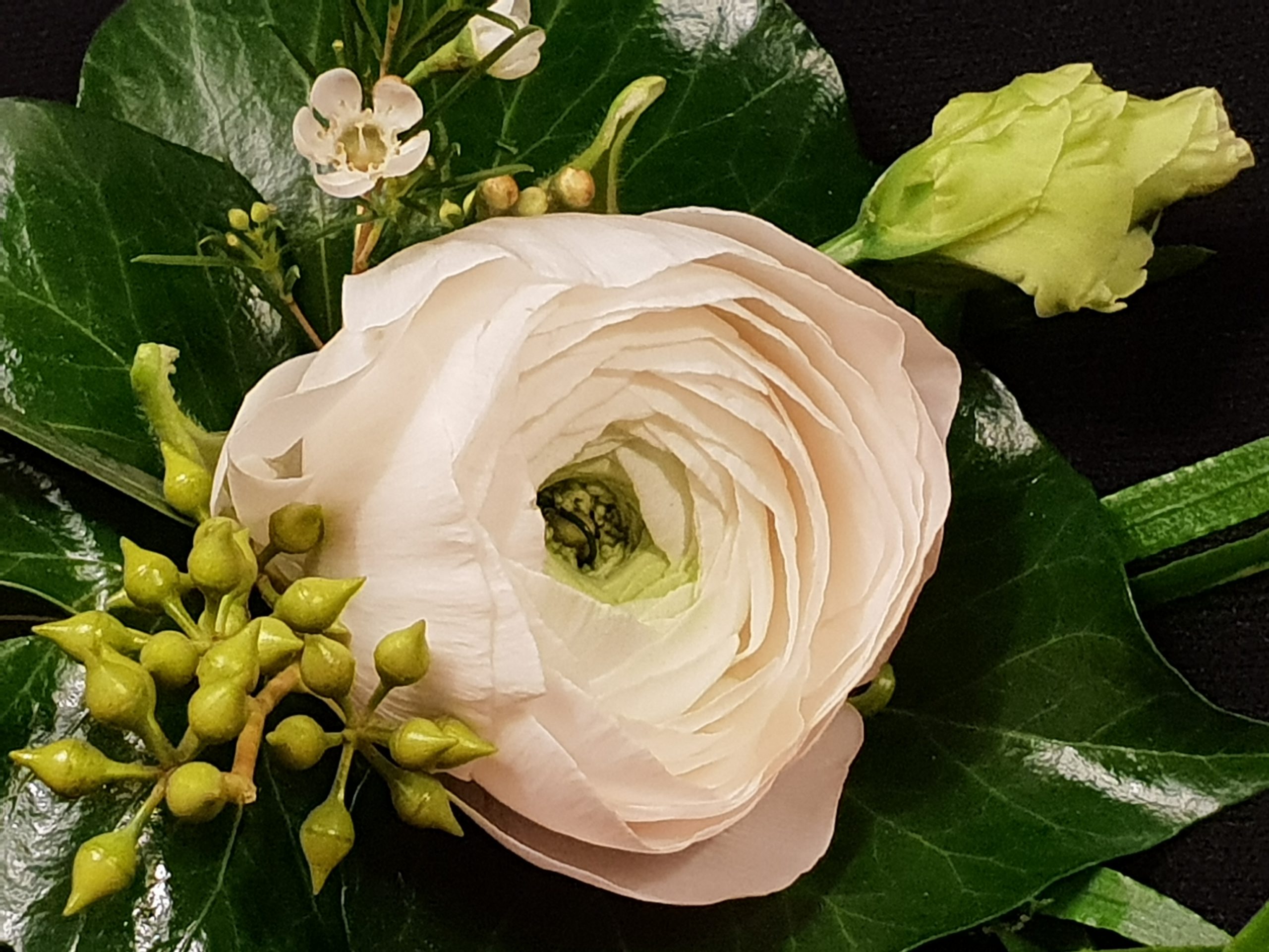 20190108_001123