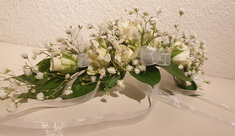 20190304_204515